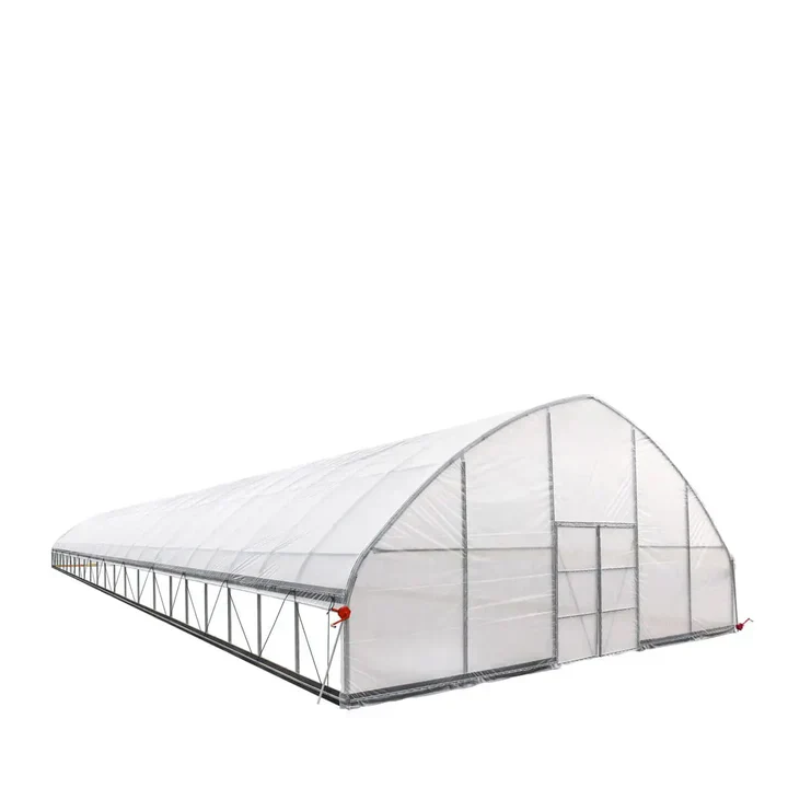 30' x 100' Commercial Tunnel Greenhouse with 6 Mil Clear Poly Covers and Roll-Up Sides TMG-GH30100-V2 (Previously GH30100) - Image 3