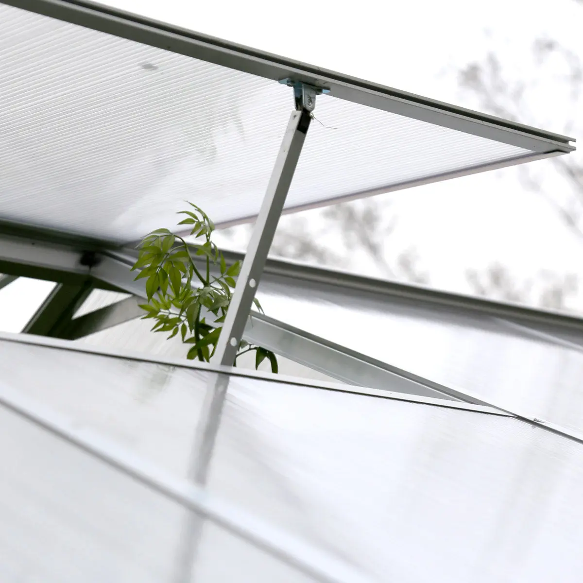 8' x 20' Aluminum Frame Greenhouse w/4 mm Twin Wall Polycarbonate Panels, UV Protected Panels, TMG-GH820 - Image 9